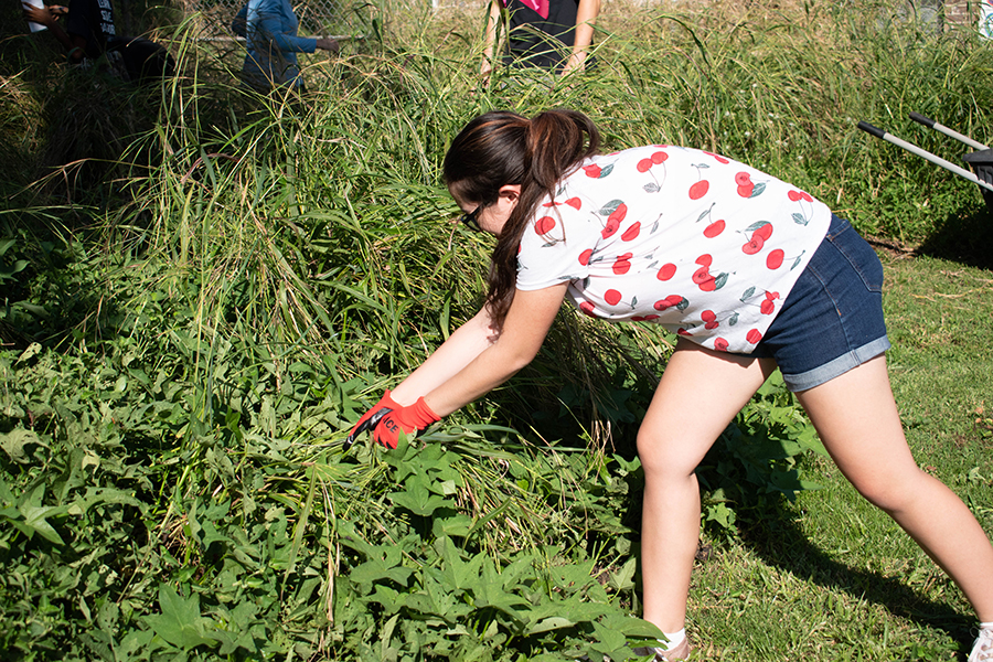 EngageTLH volunteer Jadia Johnson pulls weeds and overgrowth during a Damayan Community Garden trip.