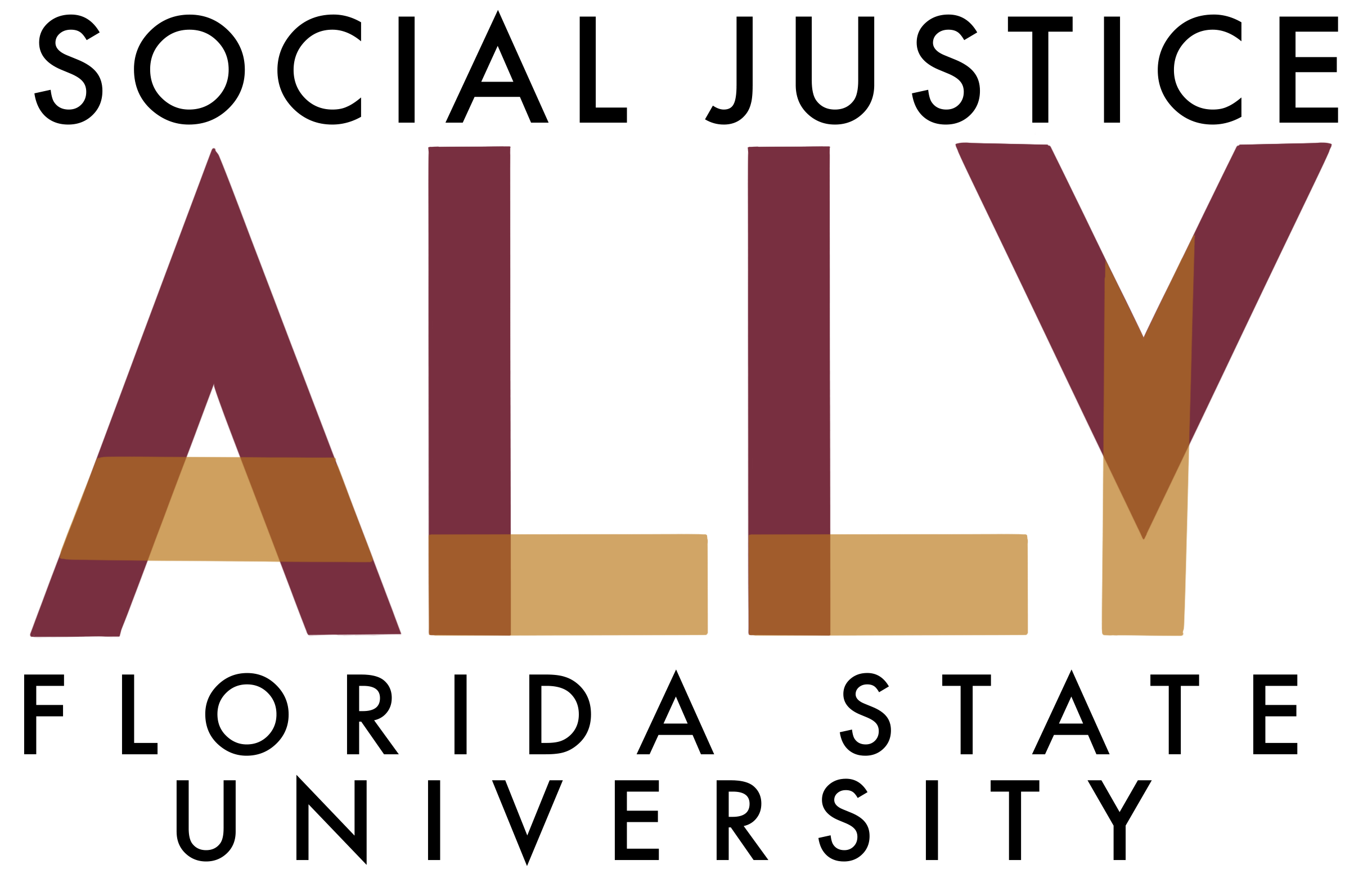 Social Justice Ally Florida State University