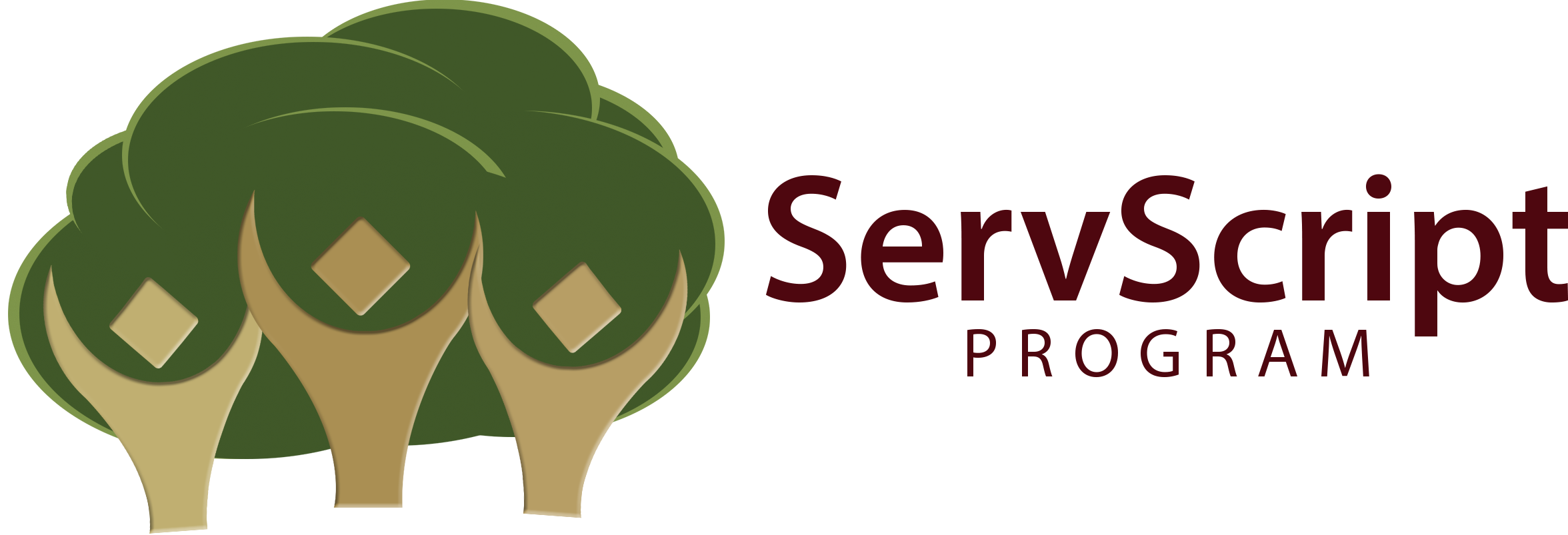 ServScript Program