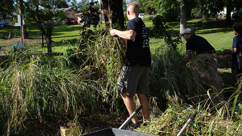 Student gathering foliage within the garden.